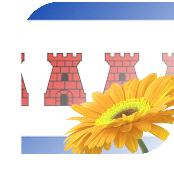 Bloemen bezorgen Dwingeloo