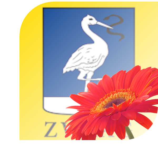 Bloemen bezorgen zwaag