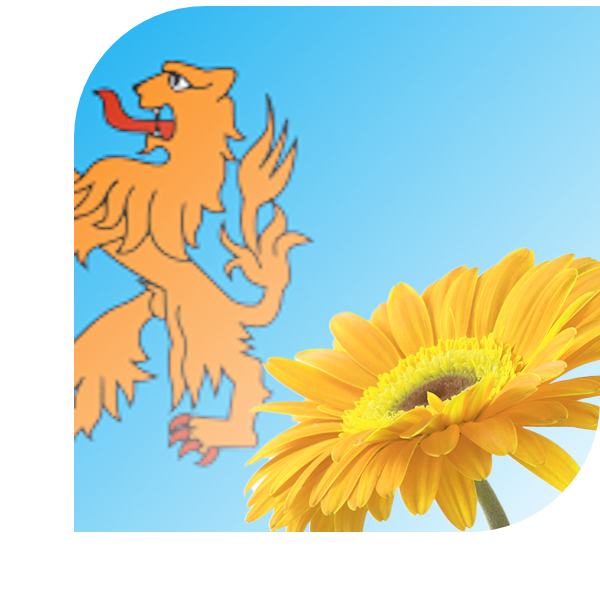 Bloemen bezorgen Brummen