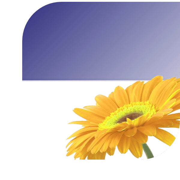 Bloemen bezorgen Hoogeveen