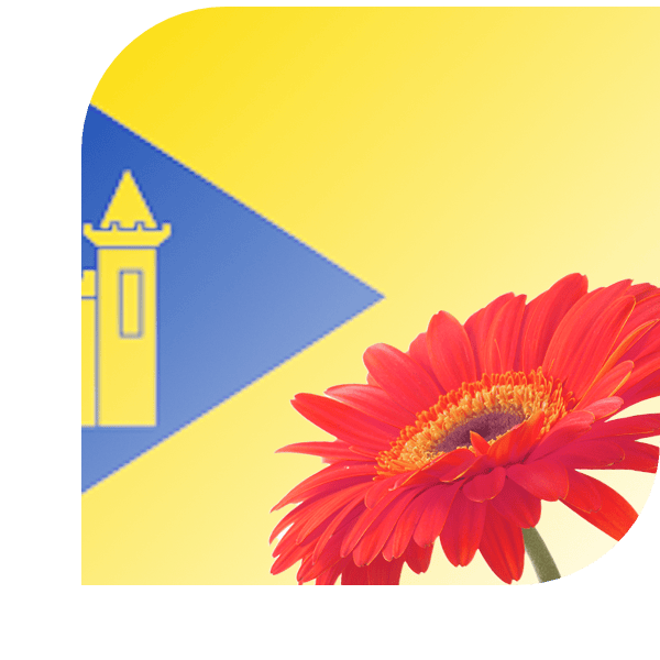 Bloemen bezorgen Montfort