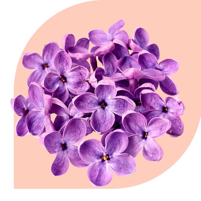 Bloemen bezorgen Hengevelde