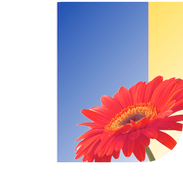 Bloemen bezorgen Doetinchem
