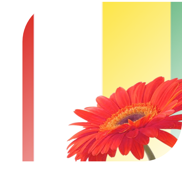 Bloemen bezorgen Markelo