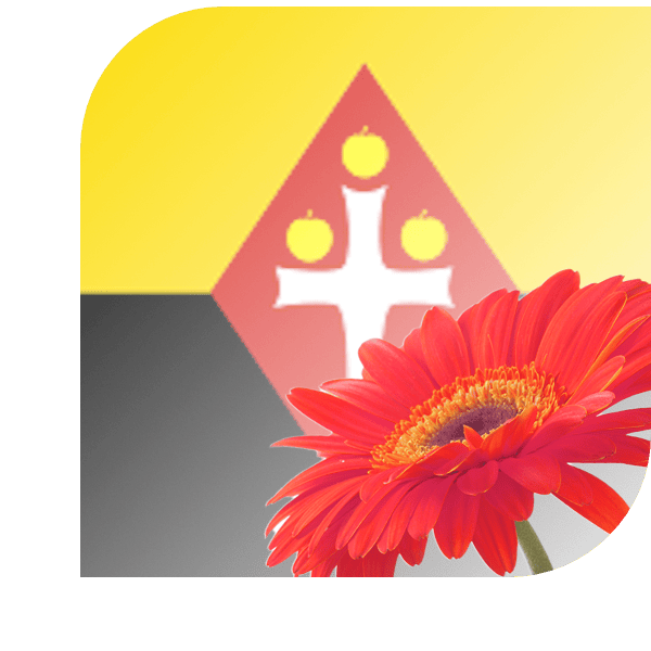 Bloemen bezorgen Best