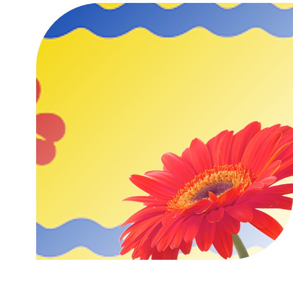 Bloemen bezorgen Hardenberg