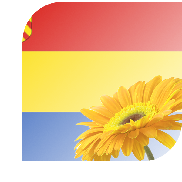 Bloemen bezorgen Bathmen