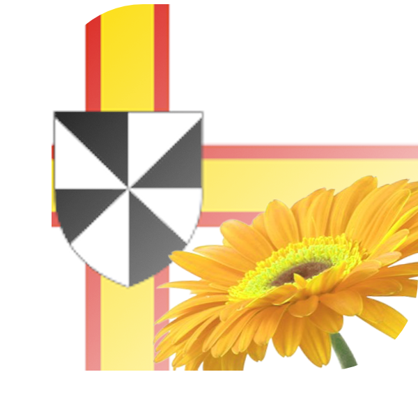 Bloemen bezorgen Borger