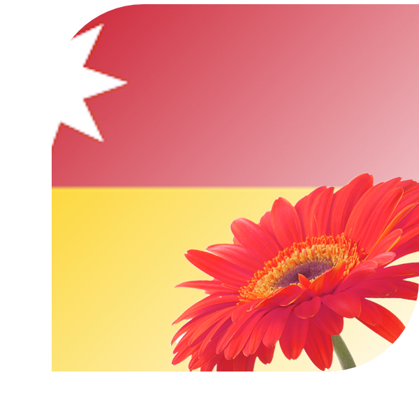 Bloemen bezorgen Moordrecht