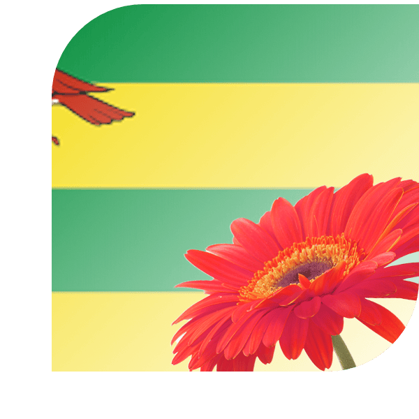 Bloemen bezorgen Hindeloopen