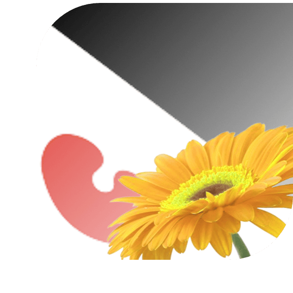 Bloemen bezorgen Parrega