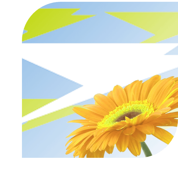 Bloemen bezorgen Zuidhorn