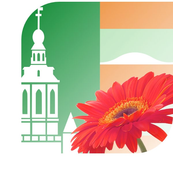 Bloemen bezorgen Dronryp