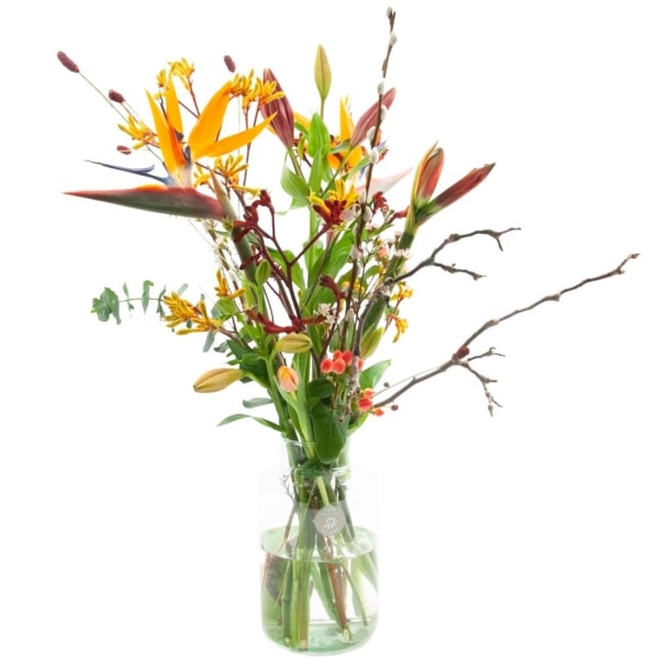 Plukboeket lekker zonnetje