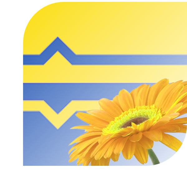 Bloemen bezorgen Lochem