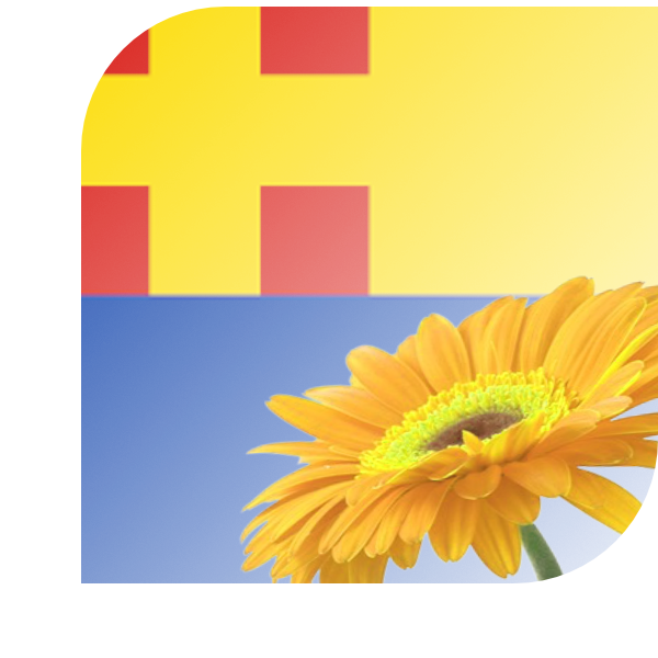 Bloemen bezorgen Lienden