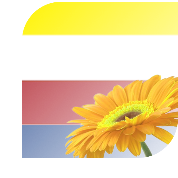 Bloemen bezorgen Kesteren