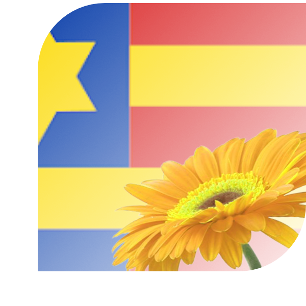 Bloemen bezorgen Koudum