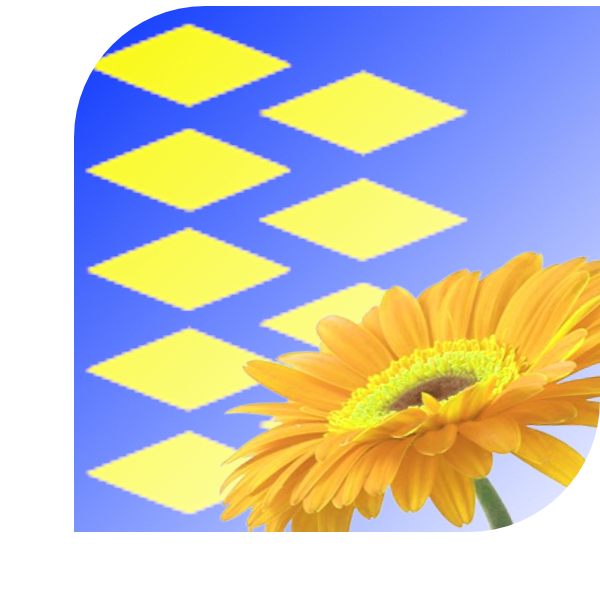 Bloemen bezorgen Leimuiden