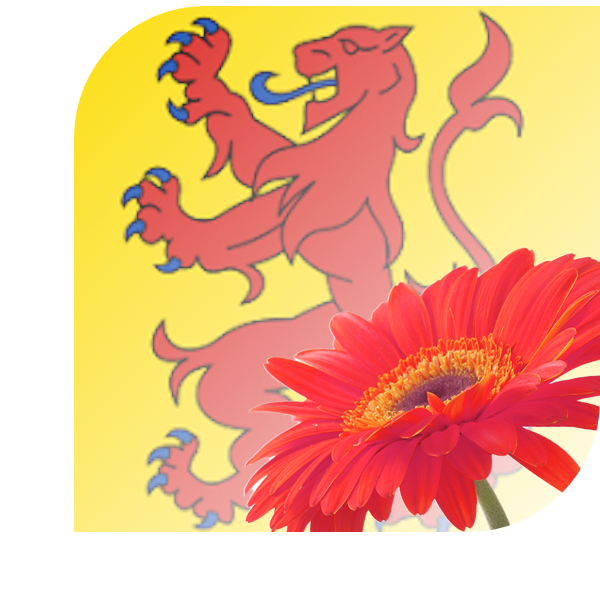 Bloemen bezorgen Bergen aan Zee