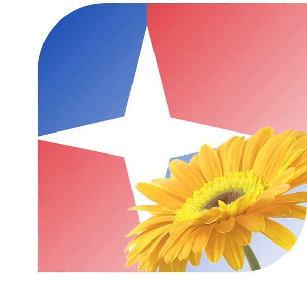 Bloemen bezorgen Aarle-Rixtel