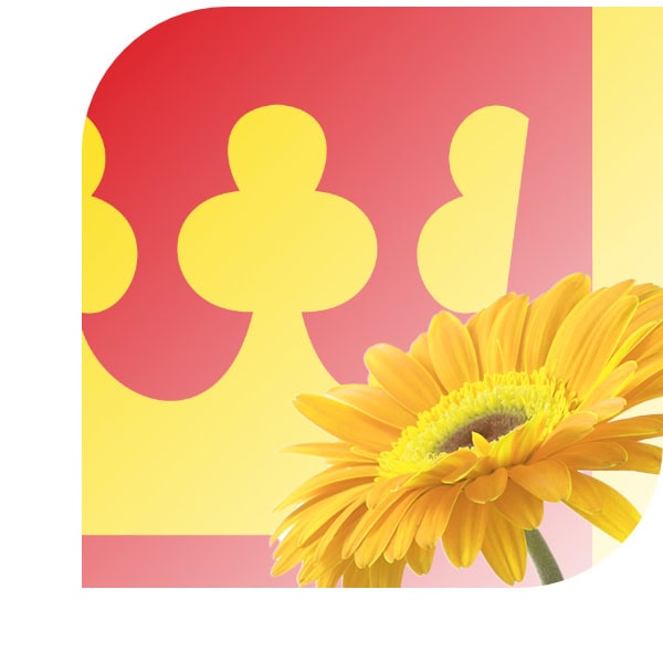 Bloemen bezorgen Akkrum