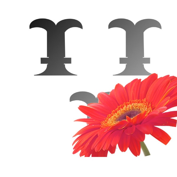 Bloemen bezorgen Bemmel