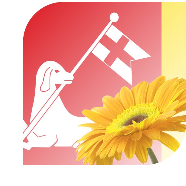 Bloemen bezorgen Berlikum