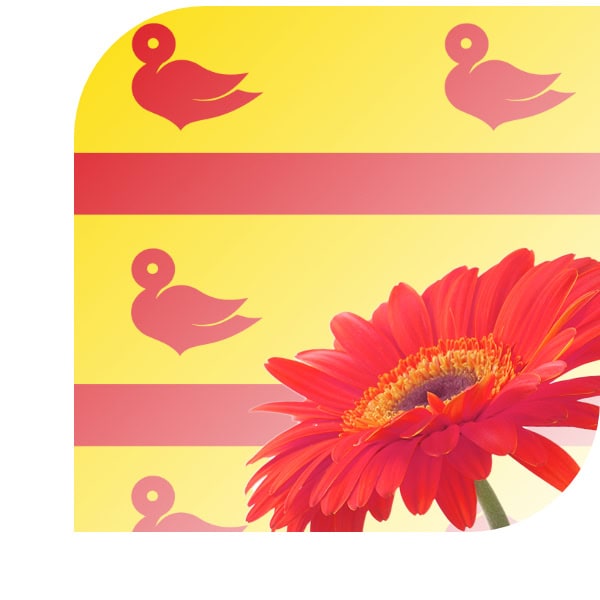 Bloemen bezorgen Cuijk