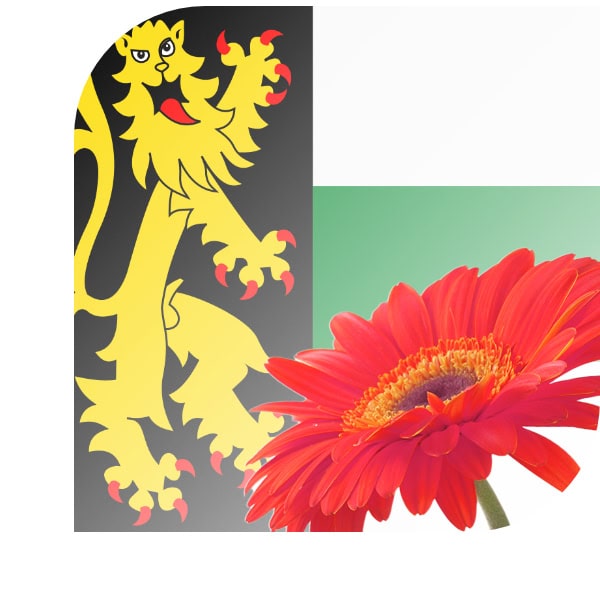 Bloemen bezorgen Druten