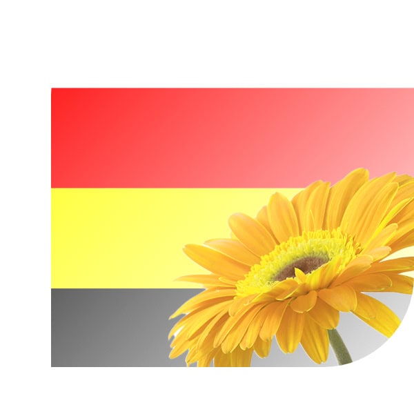 Bloemen bezorgen Ewijk