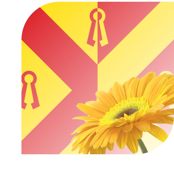 Bloemen bezorgen Gennep