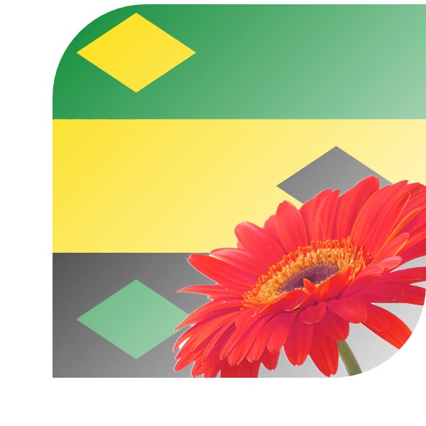 Bloemen bezorgen Heerjansdam