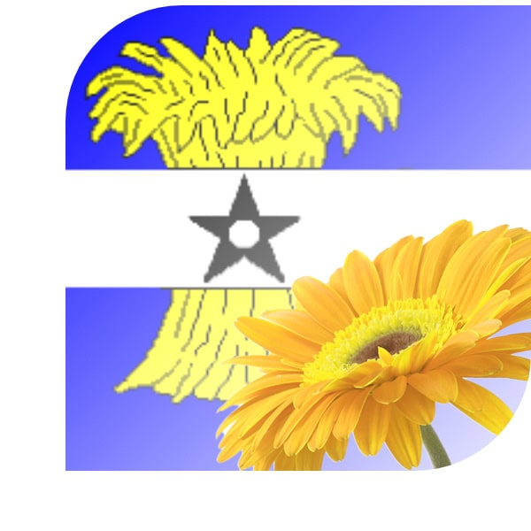 Bloemen bezorgen Heinenoord