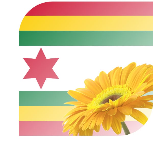 Bloemen bezorgen Kollum