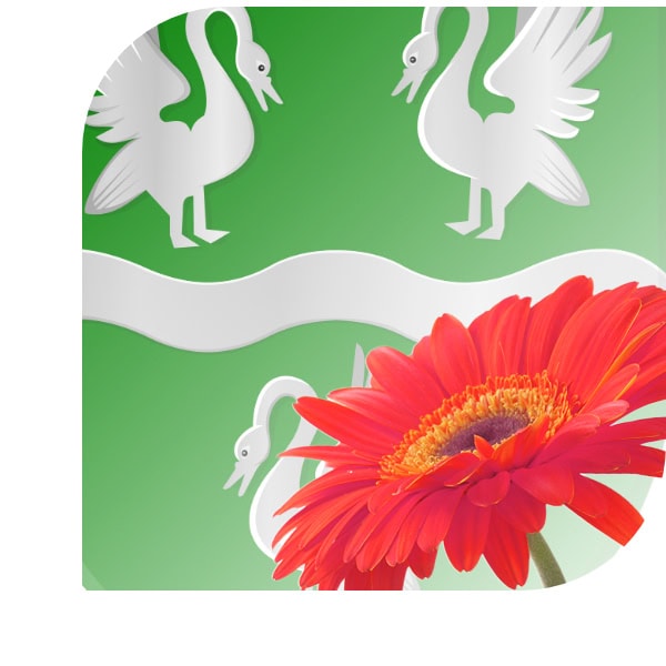 Bloemen bezorgen Langweer