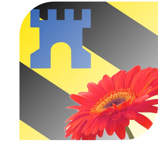 Bloemen bezorgen Medemblik