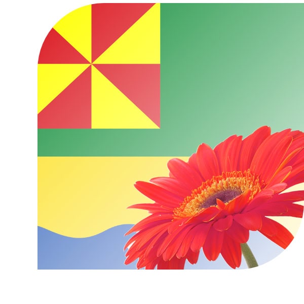 Bloemen bezorgen Oudega