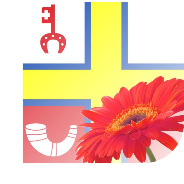 Bloemen bezorgen Roggel