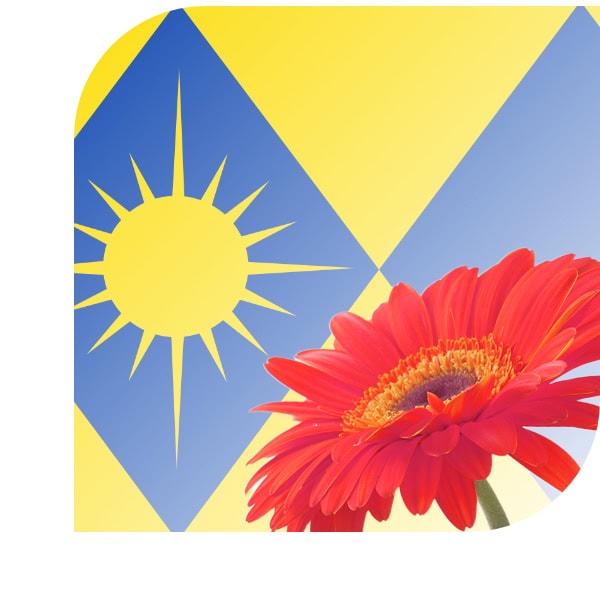 Bloemen bezorgen Son