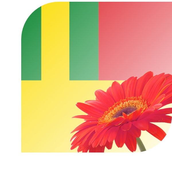 Bloemen bezorgen Zevenhuizen