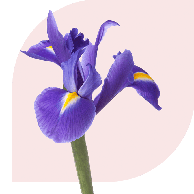 Bloemen bezorgen Beneden-Leeuwen