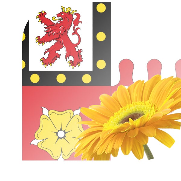 Bloemen bezorgen Berg en Dal