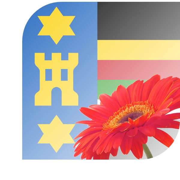 Bloemen bezorgen Hallum