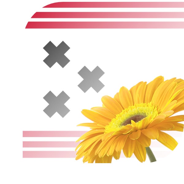 Bloemen bezorgen Hendrik-Ido-Ambacht