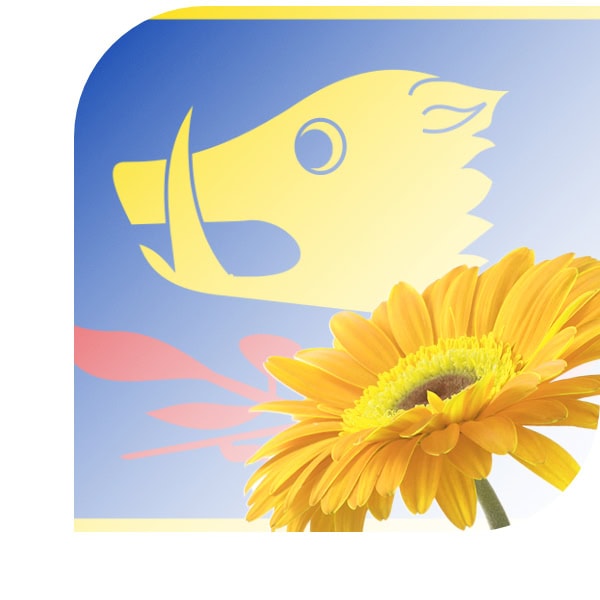 Bloemen bezorgen Lexmond