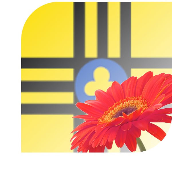 Bloemen bezorgen Vledder