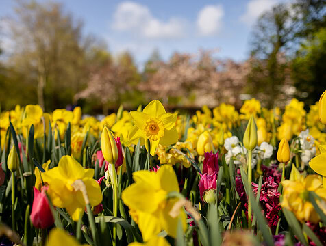 5 tips om de lente in huis te halen
