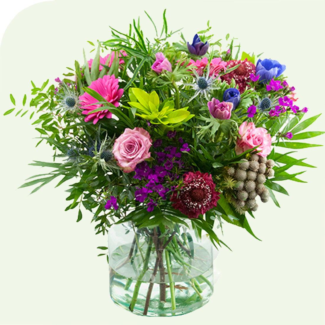 Bloemen bezorgen in groningen