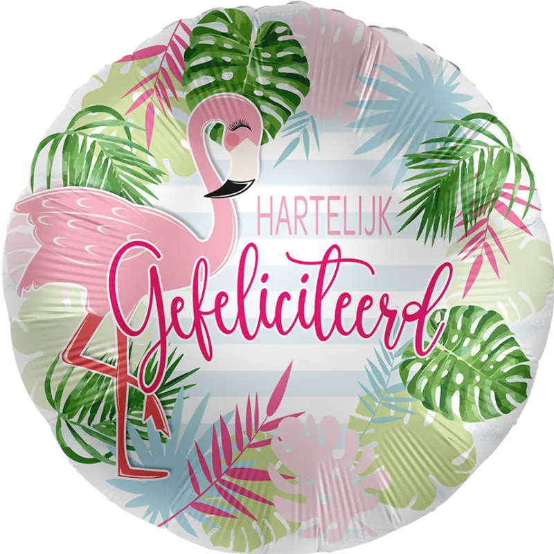 Hartelijk Gefeliciteerd flamingo
